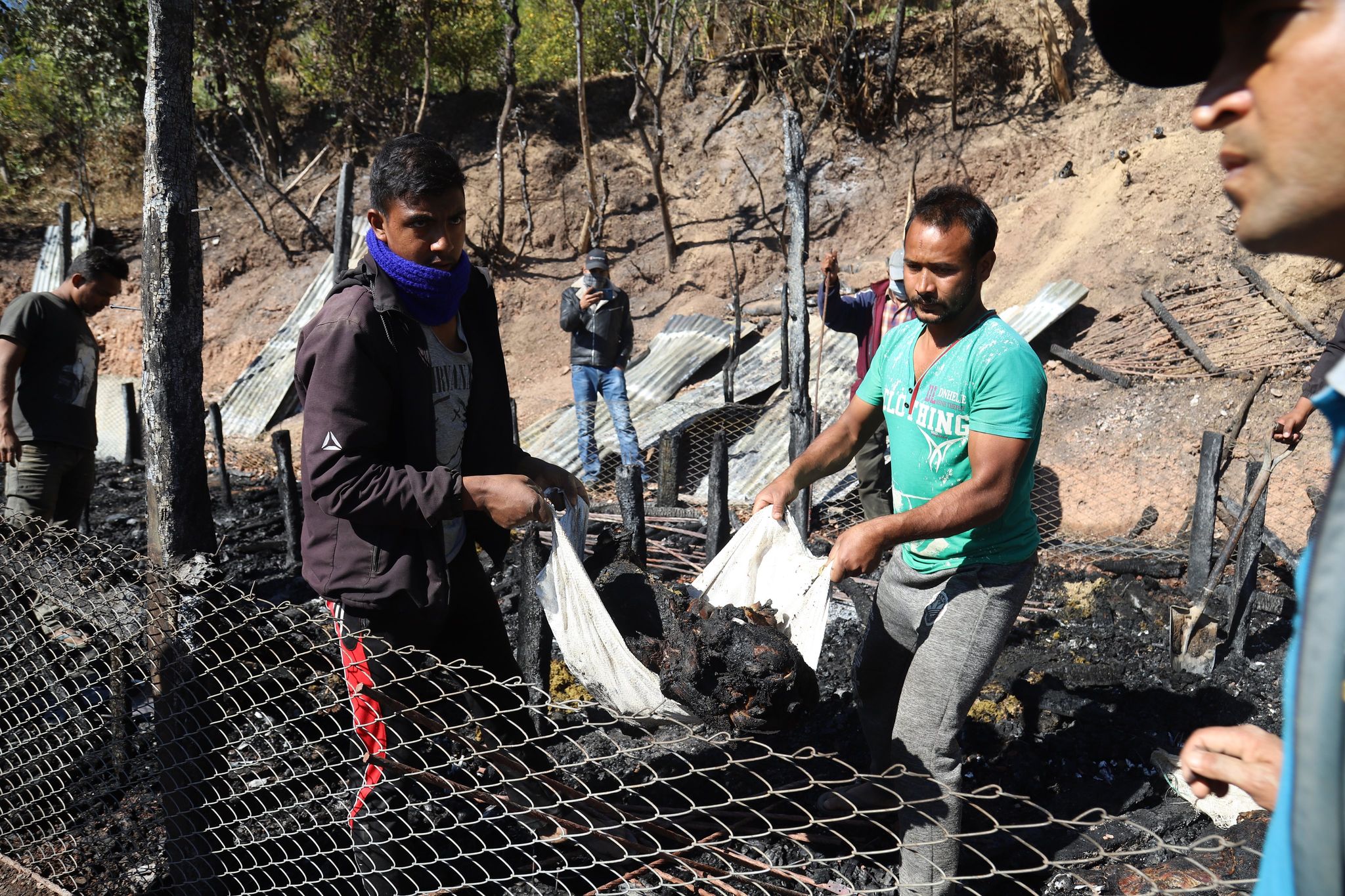 बाख्रा फार्ममा आगालागी भएपछि ७० लाख घाटा बेहोरेका शाहा परिवार भन्छन्,‘कसरी टिकिन्छ र कृषिमा यसरी ?’ 